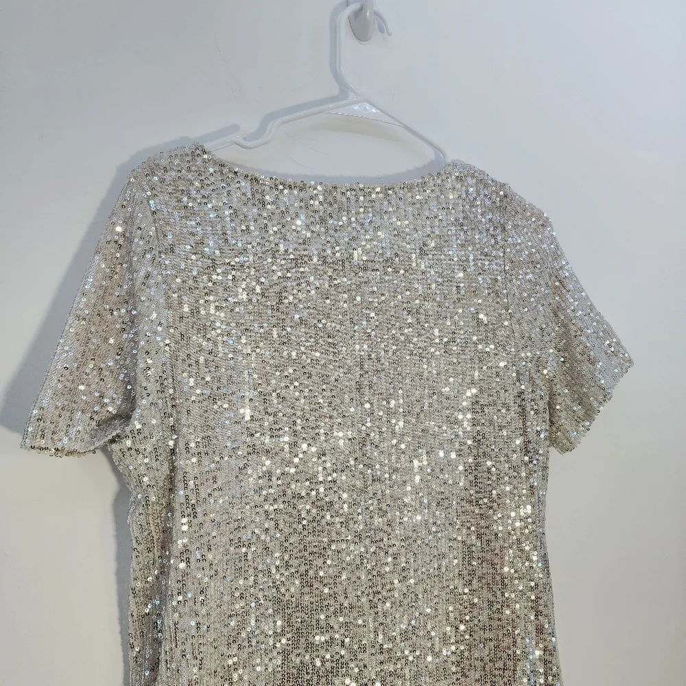 7 For All Mankind Small Silver Sequin Dress - Picture 7 of 9